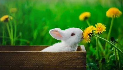 牡丹江伴游，定制QQ：3494206190微信：act1322